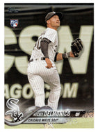 Nicky Delmonico RC - Chicago White Sox (MLB Baseball Card) 2018 Topps # 306 Mint