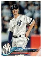 Greg Bird - New York Yankees (MLB Baseball Card) 2018 Topps # 515 Mint