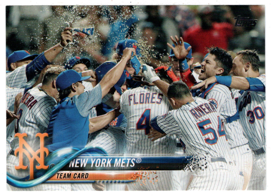 New York Mets Team Card (MLB Baseball Card) 2018 Topps # 564 Mint
