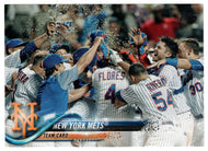 New York Mets Team Card (MLB Baseball Card) 2018 Topps # 564 Mint