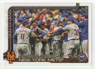 New York Mets Team Card (MLB Baseball Card) 2025 Topps # 553 Mint