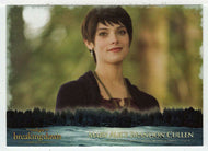 Mary Alice Brandon Cullen (Trading Card) The Twilight Saga - Breaking Dawn Part 2 - 2012 NECA # 53 - Mint