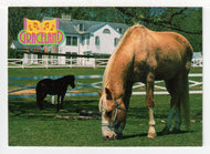 Graceland - Rising Sun (Trading Card) Elvis Collection - Series One - 1992 The River Group # 205 - Mint