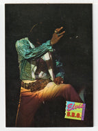 Elvis S.R.O. - The Magnificent Gold Belt (Trading Card) Elvis Collection - Series One - 1992 The River Group # 441 - Mint