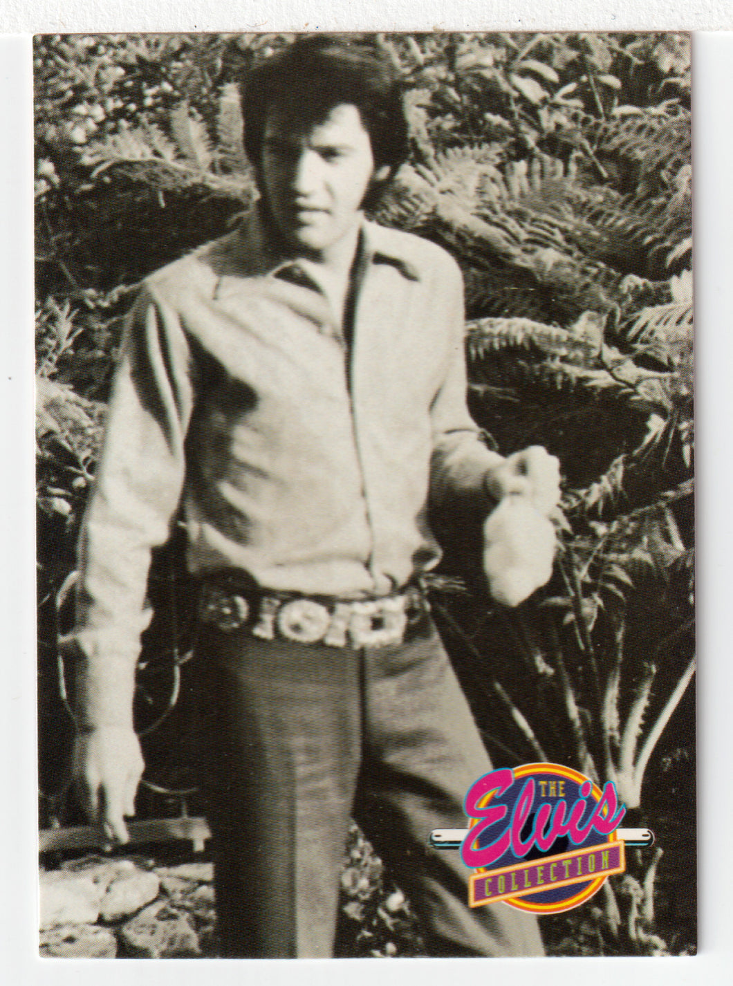 Easter Day Hunt (Trading Card) Elvis Collection - Series One - 1992 The River Group # 484 - Mint