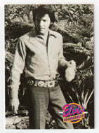 Easter Day Hunt (Trading Card) Elvis Collection - Series One - 1992 The River Group # 484 - Mint