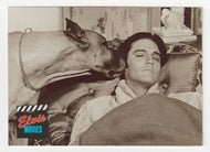 Elvis Movies - Live a Little, Love a Little - with Brutus (Trading Card) Elvis Collection - Series Two - 1992 The River Group # 89 - Mint