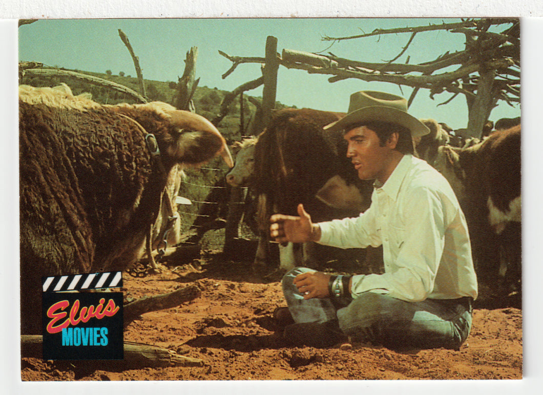 Elvis Movies - Stay Away Joe - Ode to A Bull (Trading Card) Elvis Collection - Series Two - 1992 The River Group # 106 - Mint