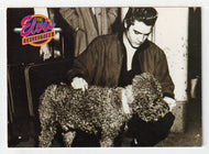 A Four-Legged Fan (Trading Card) Elvis Collection - Series Two - 1992 The River Group # 535 - Mint