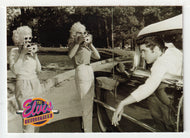 Though The Gates of Graceland (Trading Card) Elvis Collection - Series Two - 1992 The River Group # 584 - Mint