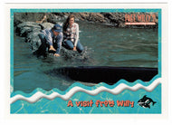 A Visit from Willy (Trading Card) Free Willy 2 - 1995 Skybox # 18 - Mint