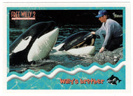 Willy's Brother (Trading Card) Free Willy 2 - 1995 Skybox # 20 - Mint