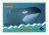 The Rubbing Rocks (Trading Card) Free Willy 2 - 1995 Skybox # 26 - Mint