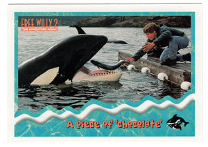 A Piece of Chocolate (Trading Card) Free Willy 2 - 1995 Skybox # 45 - Mint