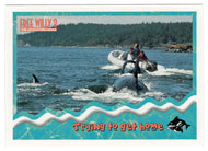 Trying to get Home (Trading Card) Free Willy 2 - 1995 Skybox # 51 - Mint