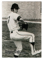 Gregory Stajk (Trading Card) Heroes of the World Trade Center Memorial - Tribute - 2002 Chestnut Publications # 1 - Mint