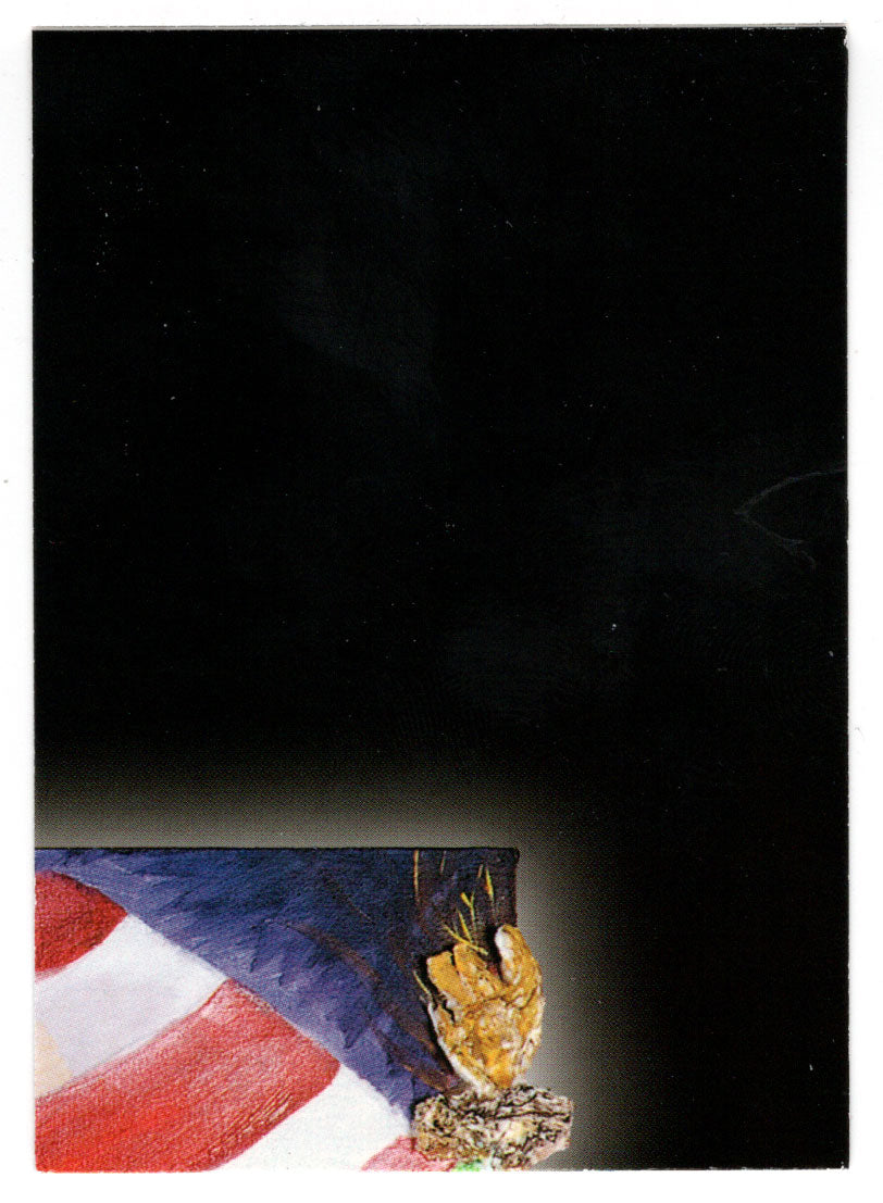 Puzzle - Disaster Card, 05 of 15 (Trading Card) Heroes of the World Trade Center Memorial - Tribute - 2002 Chestnut Publications # 90 - Mint