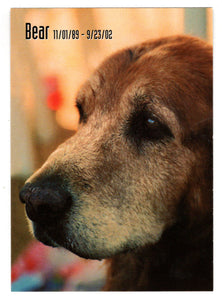 Bear: In Memoriam (Trading Card) Heroes of the World Trade Center Memorial - Tribute - 2002 Chestnut Publications # 159 - Mint