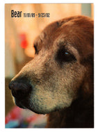 Bear: In Memoriam (Trading Card) Heroes of the World Trade Center Memorial - Tribute - 2002 Chestnut Publications # 159 - Mint