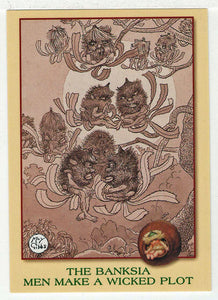 The Banksia Men Make a Wicked Plot (Trading Card) May Gibbs - 1995 Tempo # 25 - Mint