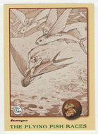 The Flying Fish Races (Trading Card) May Gibbs - 1995 Tempo # 42 - Mint