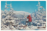 Wintertime in Blue Ridge Country, USA Vintage Original Postcard # 1000 - New - 1960's