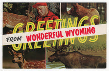 Load image into Gallery viewer, Greetings from Wonderful Wyoming, USA Vintage Original Postcard # 1859 - New, 1970's
