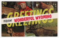 Greetings from Wonderful Wyoming, USA Vintage Original Postcard # 1859 - New, 1970's