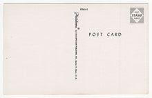 Load image into Gallery viewer, Greetings from Wonderful Wyoming, USA Vintage Original Postcard # 1859 - New, 1970's
