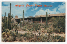 Load image into Gallery viewer, Arizona-Sonora Desert Museum, Tucson, Arizona, USA Vintage Original Postcard # 1865 - Post Marked May 25, 1961
