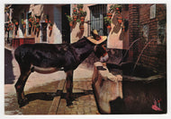 Costa Del Sol Malaga, Spain (Street Scene) - Vintage Original Postcard # 1886 - Post Marked 1980's