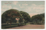 Umbrella Trees - Vintage Original Postcard # 1889 - New - Early 1900's