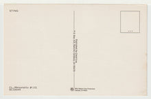 Load image into Gallery viewer, Sting Portrait Vintage Original Postcard # 4963 - New, 1980's

