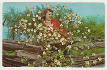 Load image into Gallery viewer, Dogwood in Bloom, USA Vintage Original Postcard # 4966 - New - 1960's

