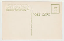 Load image into Gallery viewer, Live Oaks and Spanish Moss, USA Vintage Original Postcard # 4968 - New - 1960's
