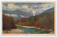 Capilano River and The Lions, Vancouver, British Columbia, Canada Vintage Original Postcard # 4970 - New - 1950's