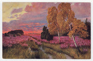 Scenic Country View (Unknown) Vintage Original Postcard # 4971 - New - 1950's