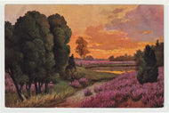 Scenic Country View (Unknown) Vintage Original Postcard # 4972 - New - 1950's