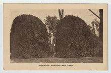 Load image into Gallery viewer, Ash Lawn (Boxwood Gardens) - President John Monroe Home, Charlottesville, Virginia, USA Vintage Original Postcard # 4978 - 1950's
