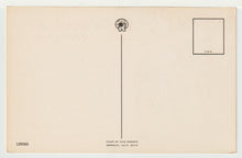 Load image into Gallery viewer, The Legend of the Dogwood Vintage Original Postcard # 4979 - New - 1960's
