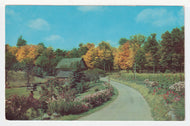 Scenic Country View - An Old-Fashioned Garden (Unknown) Vintage Original Postcard # 4980 - New - 1960's