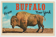 Greetings from Buffalo, New York, USA Vintage Original Postcard # 4993 - New - 1960's