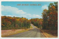 Sayner, Wisconsin, USA Vintage Original Postcard # 5002 - Post Marked August 1, 1961