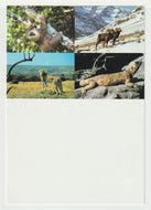 Endangered Species - United Nations Vintage Original Postcard # 5013 - New - 2002