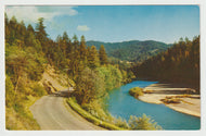 Scenic View - 'A Curve in the Road' Vintage Original Postcard # 5027 - New - 1960's