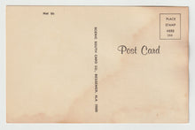 Load image into Gallery viewer, Sad Puppies Vintage Original Postcard # 5028 - New - 1960's
