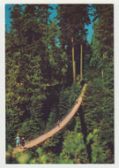 Capilano Suspension Bridge, Vancouver, British Columbia, Canada - Vintage Original Postcard # 5033 - New - 1970's