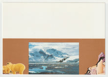 Load image into Gallery viewer, Whales - Environnement (Climate Change) Vintage Original Postcard # 5077 - New - 1993
