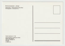 Load image into Gallery viewer, Whales - Environnement (Climate Change) Vintage Original Postcard # 5077 - New - 1993
