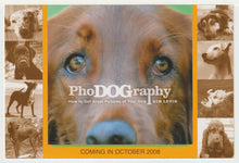 Load image into Gallery viewer, PhoDOGraphy - 'Great Pictures of Dogs Book Publication Ad' Vintage Original Postcard # 5088 - New - 2008
